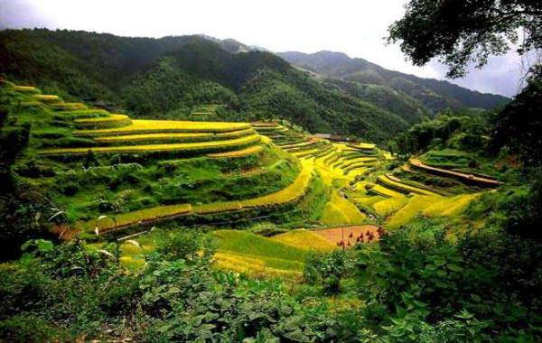 du-lich-baguio-philippines-ruong