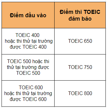 toeic-truong-anh-ngu-pines